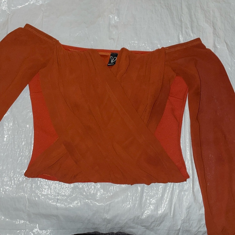 Windsor burnt orange crop top with sheer long sleeves